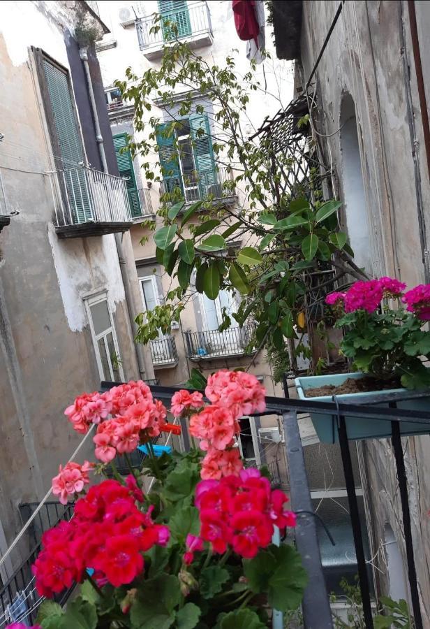 Casa vacanze Gelso *