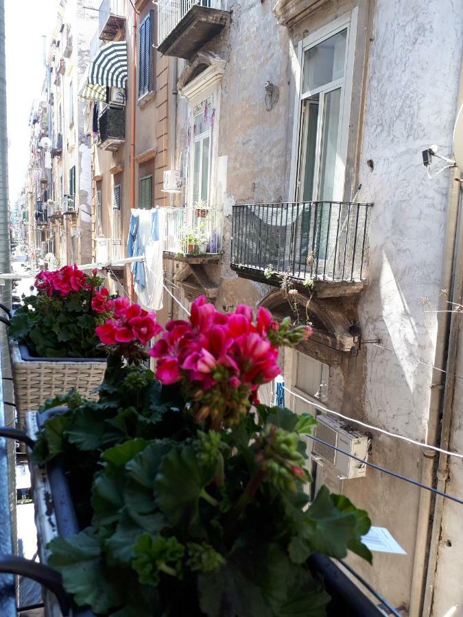 Gelso Casa vacanze Napoli