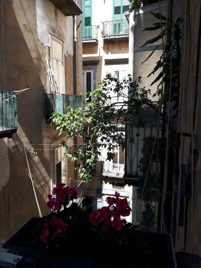 Casa vacanze Gelso Napoli